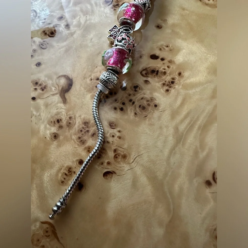 N/A silver charm